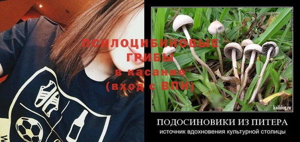 МДПВ Костерёво