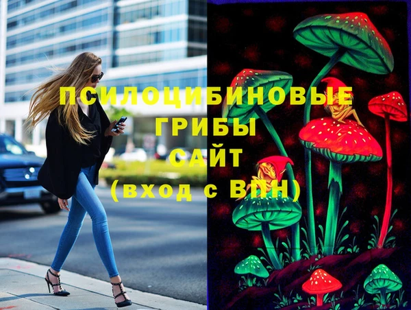 МДПВ Костерёво