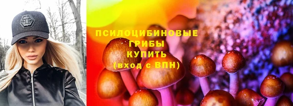 прущие крисы Козловка