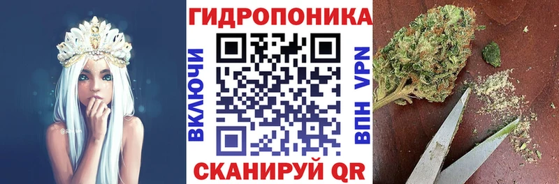 ОМГ ОМГ как войти  Карабаново  Конопля гибрид 